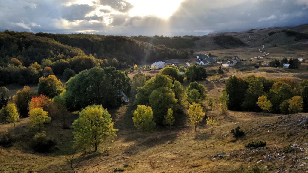 Dormitor